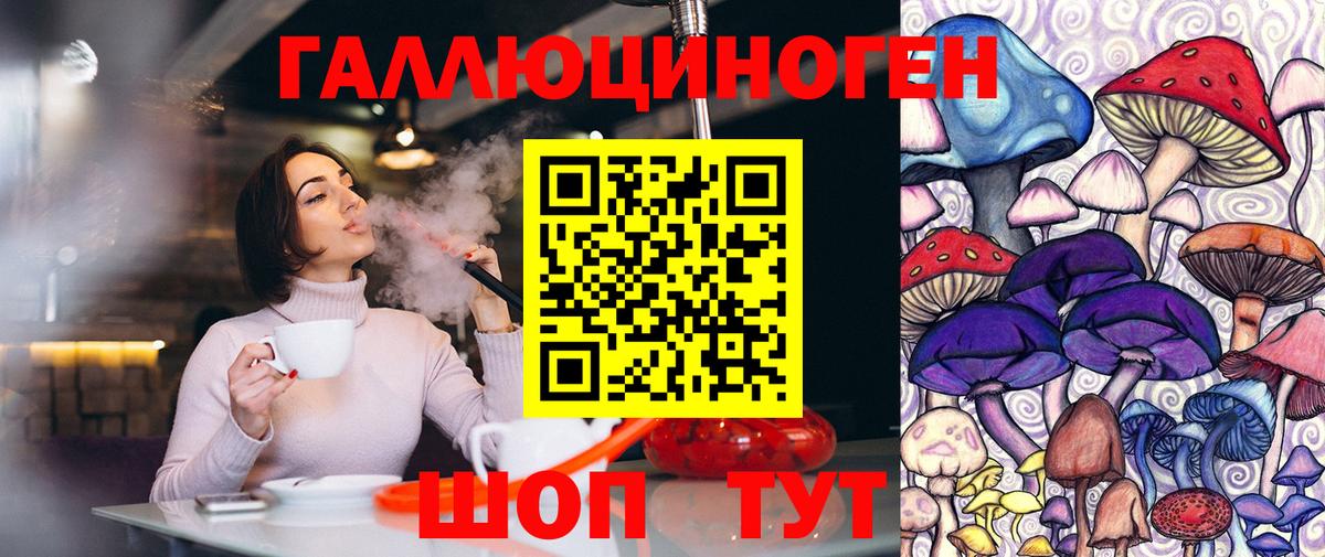 Псилоцибиновые грибы Psilocybe Минусинск
